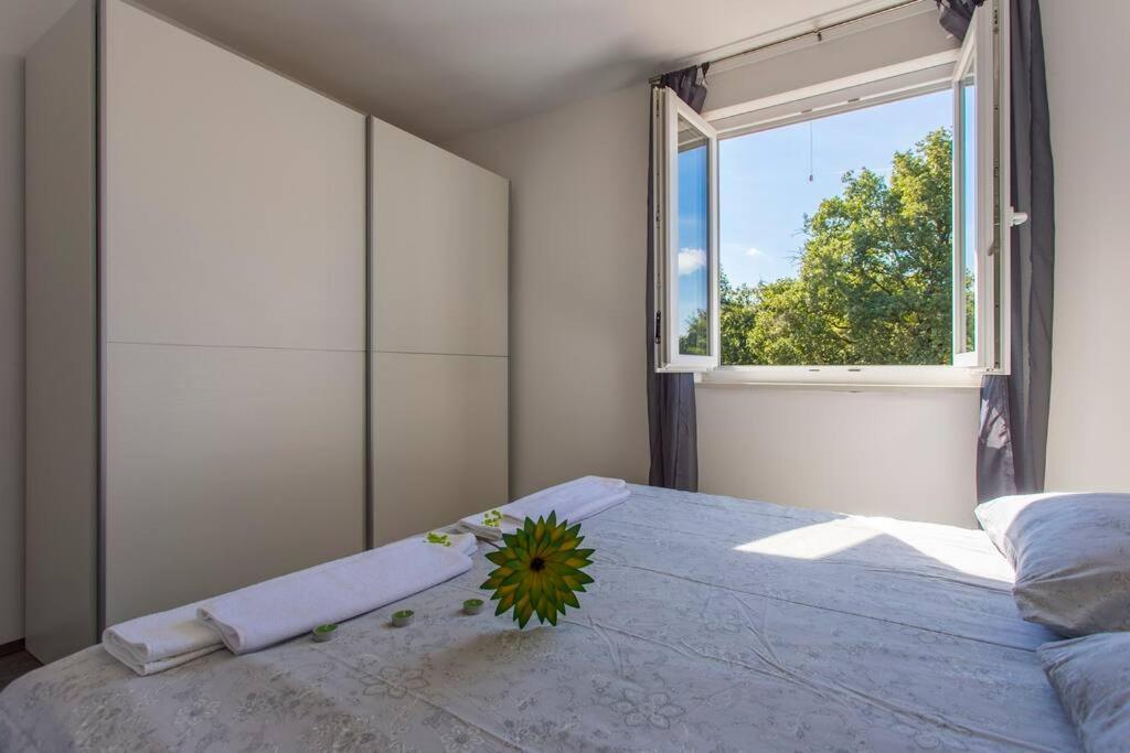 Willa Modern House With Private Pool Žminj Zewnętrze zdjęcie